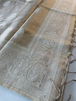 Tissue saree / SN41
