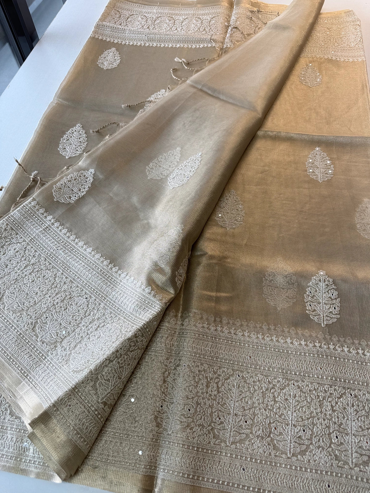 Tissue saree / SN41