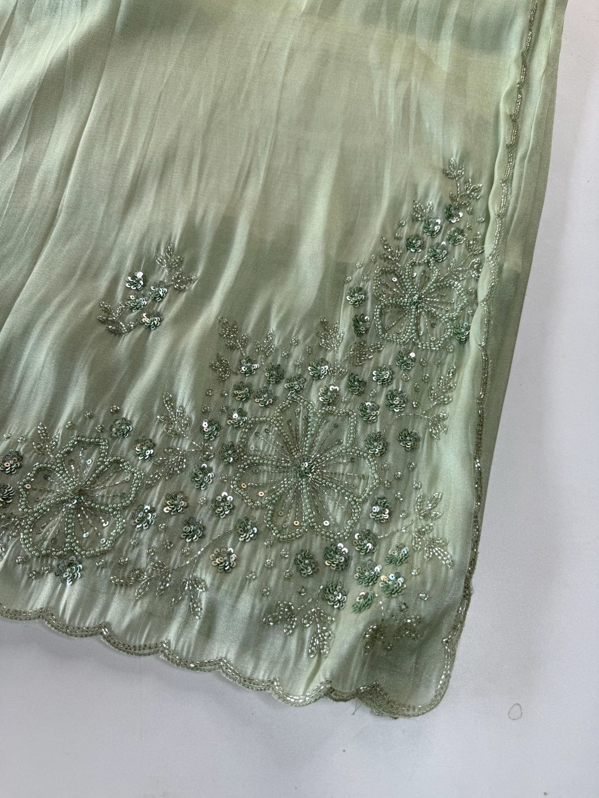 Tissue Organza Saree/ W319