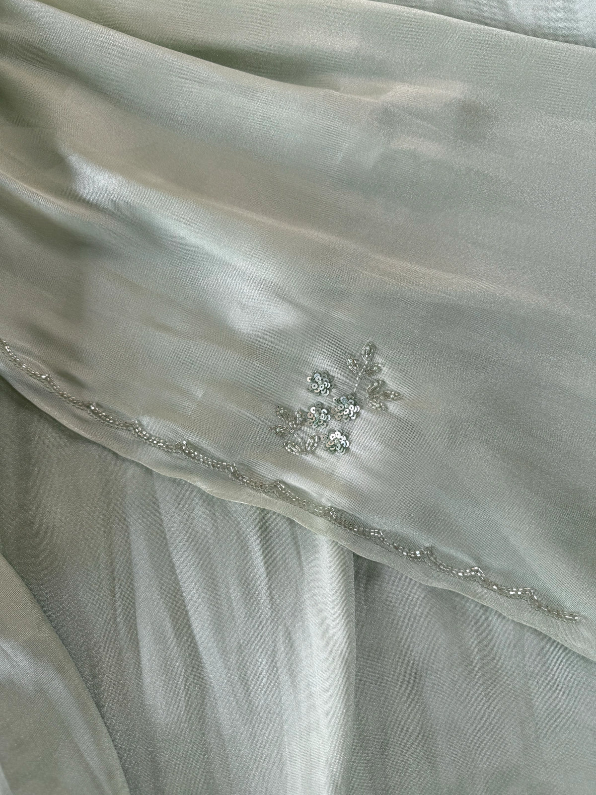 Tissue Organza Saree/ W319