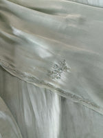 Tissue Organza Saree/ W319