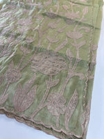 Tissue Georgette Saree/ WS58