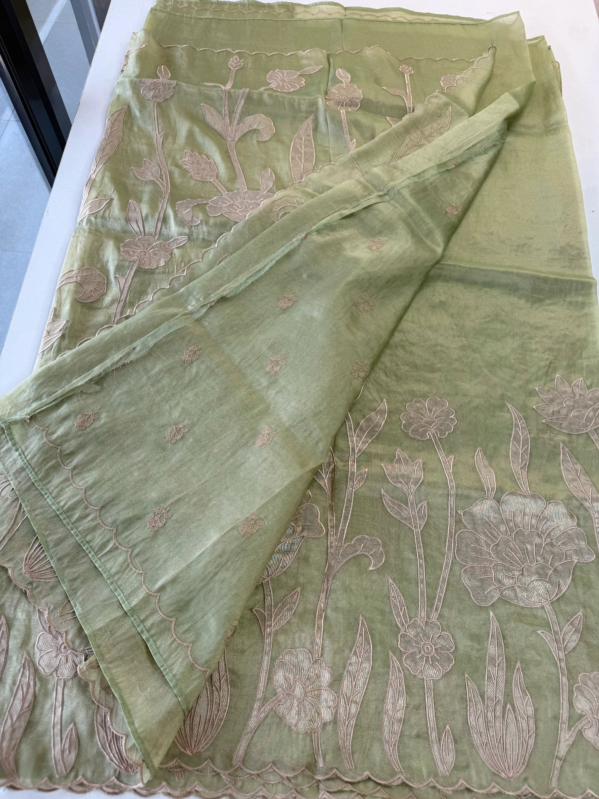 Tissue Georgette Saree/ WS58