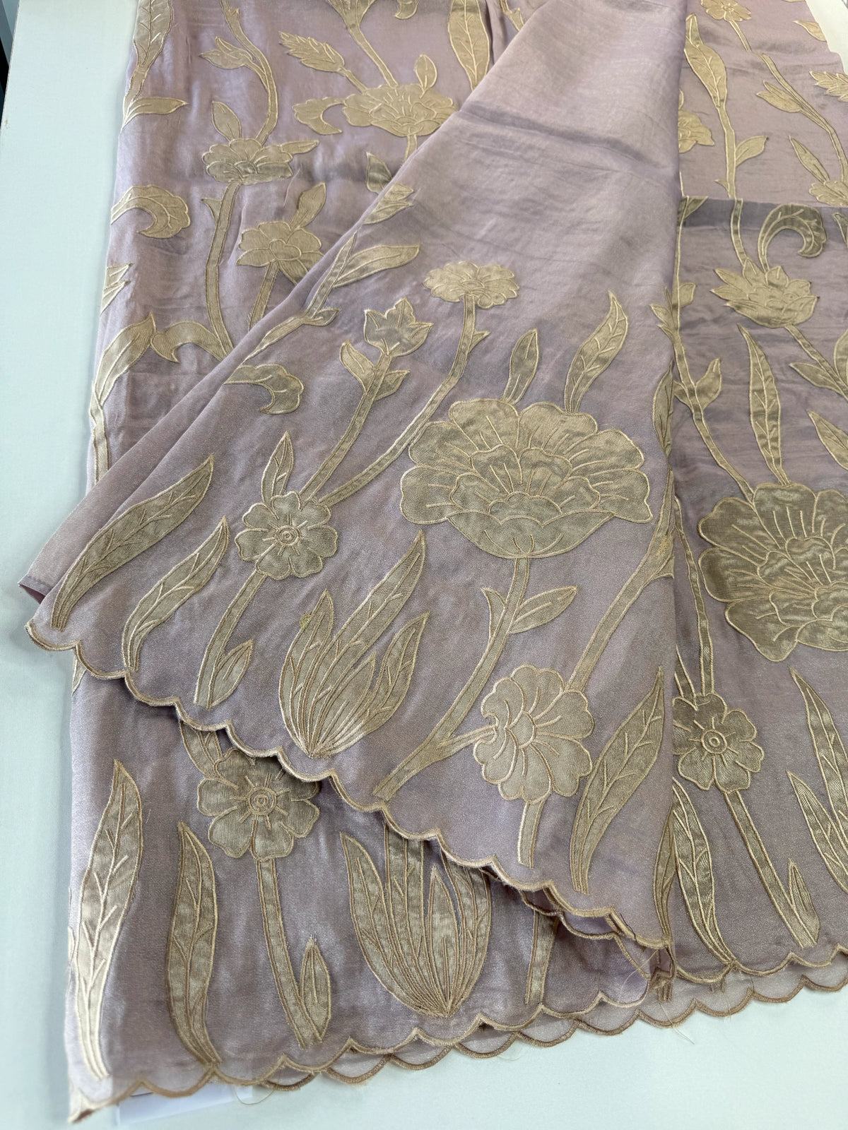 Tissue Georgette Saree/ WS58