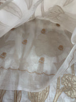 Tissue Georgette Saree/ WS58