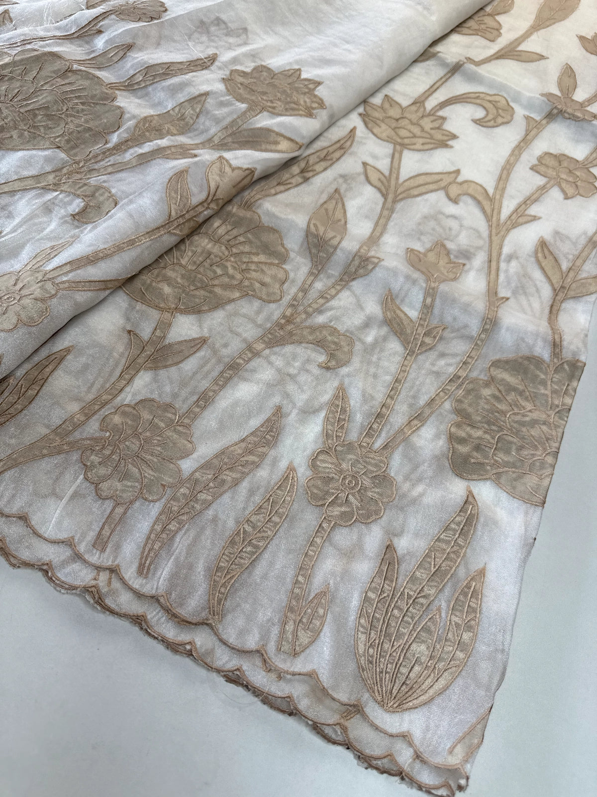 Tissue Georgette Saree/ WS58