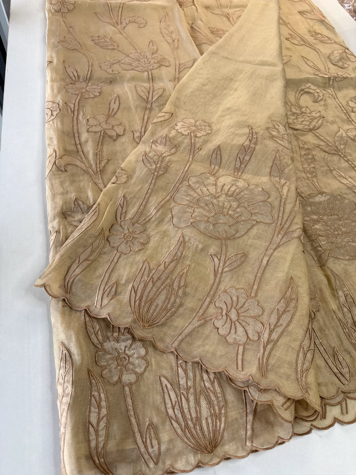 Tissue Georgette Saree/ WS58
