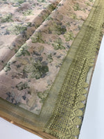 Tissue linen saree/ 562A