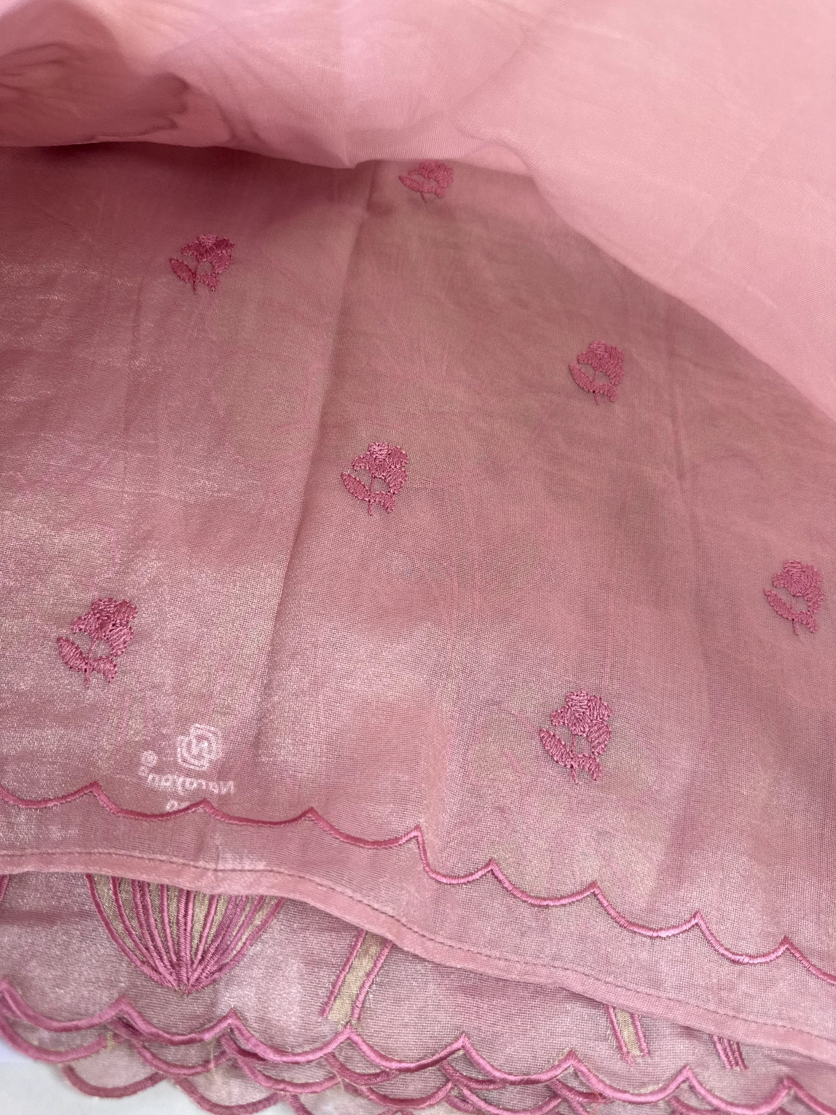 Tissue Georgette Saree/ WS58