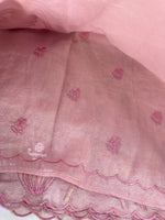Tissue Georgette Saree/ WS58