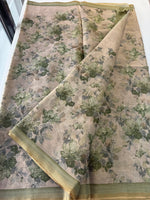 Tissue linen saree/ 562A