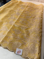 Chanderi Tissue Blend saree/ RF54