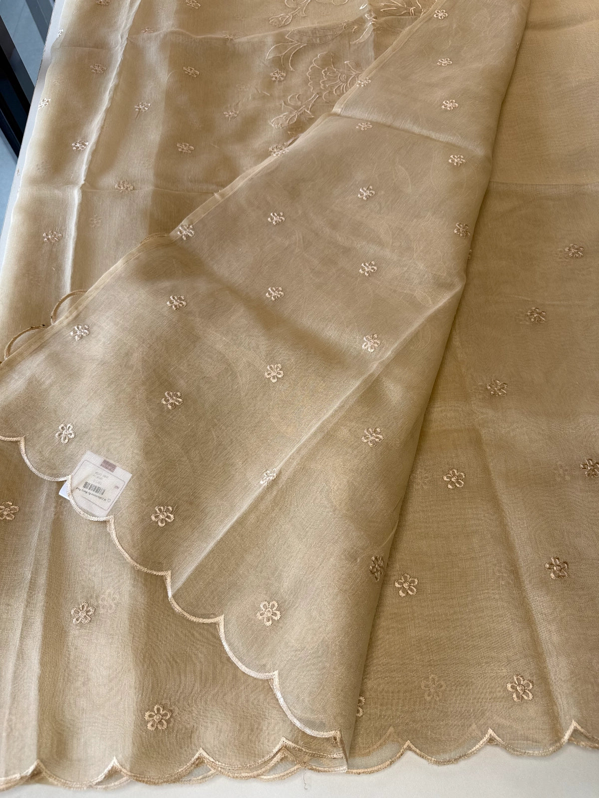 Chanderi Tissue Blend saree/ RF54