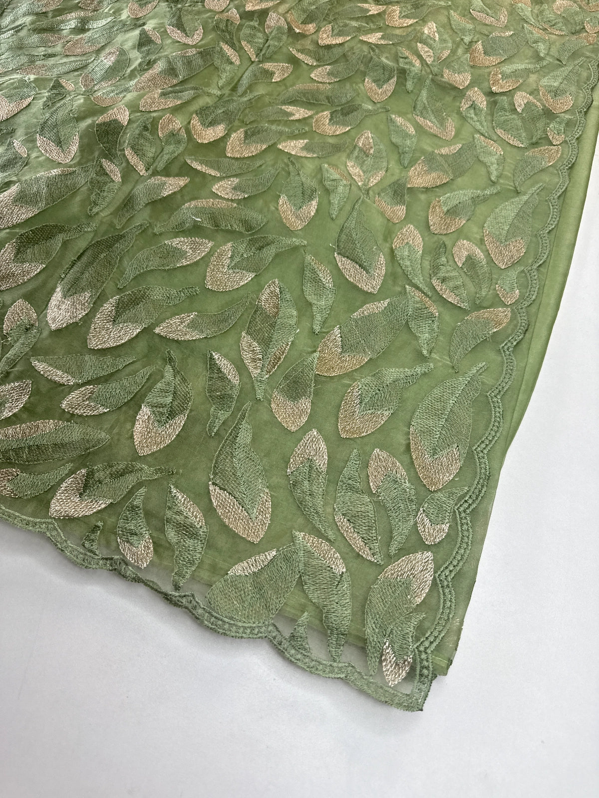 Soft Organza Saree/ CW496