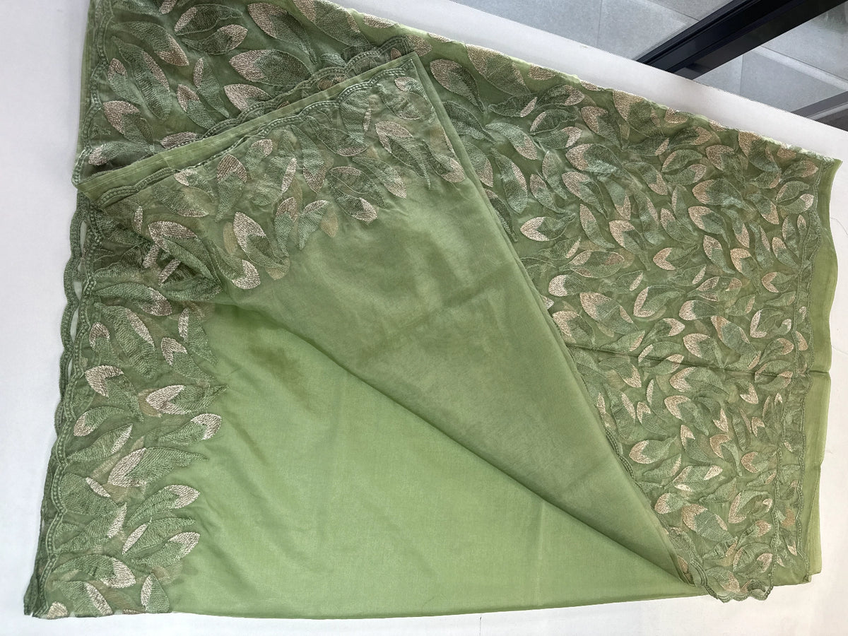 Soft Organza Saree/ CW496