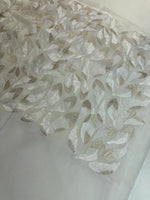 Soft Organza Saree/ CW496