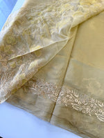 Soft Organza Saree/ W748