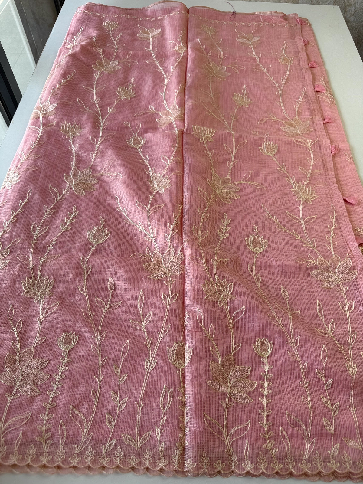 Silky kotta / DS34