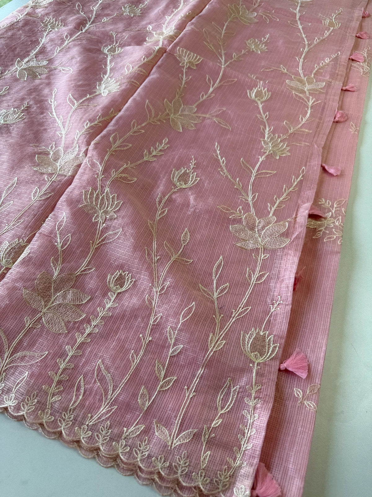 Silky kotta / DS34