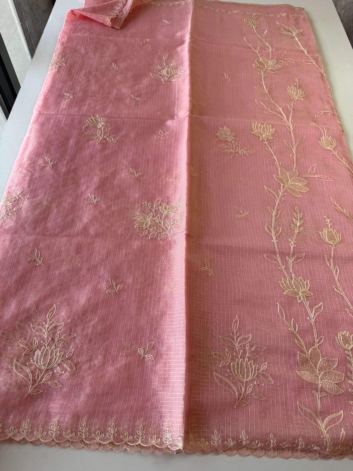 Silky kotta / DS34