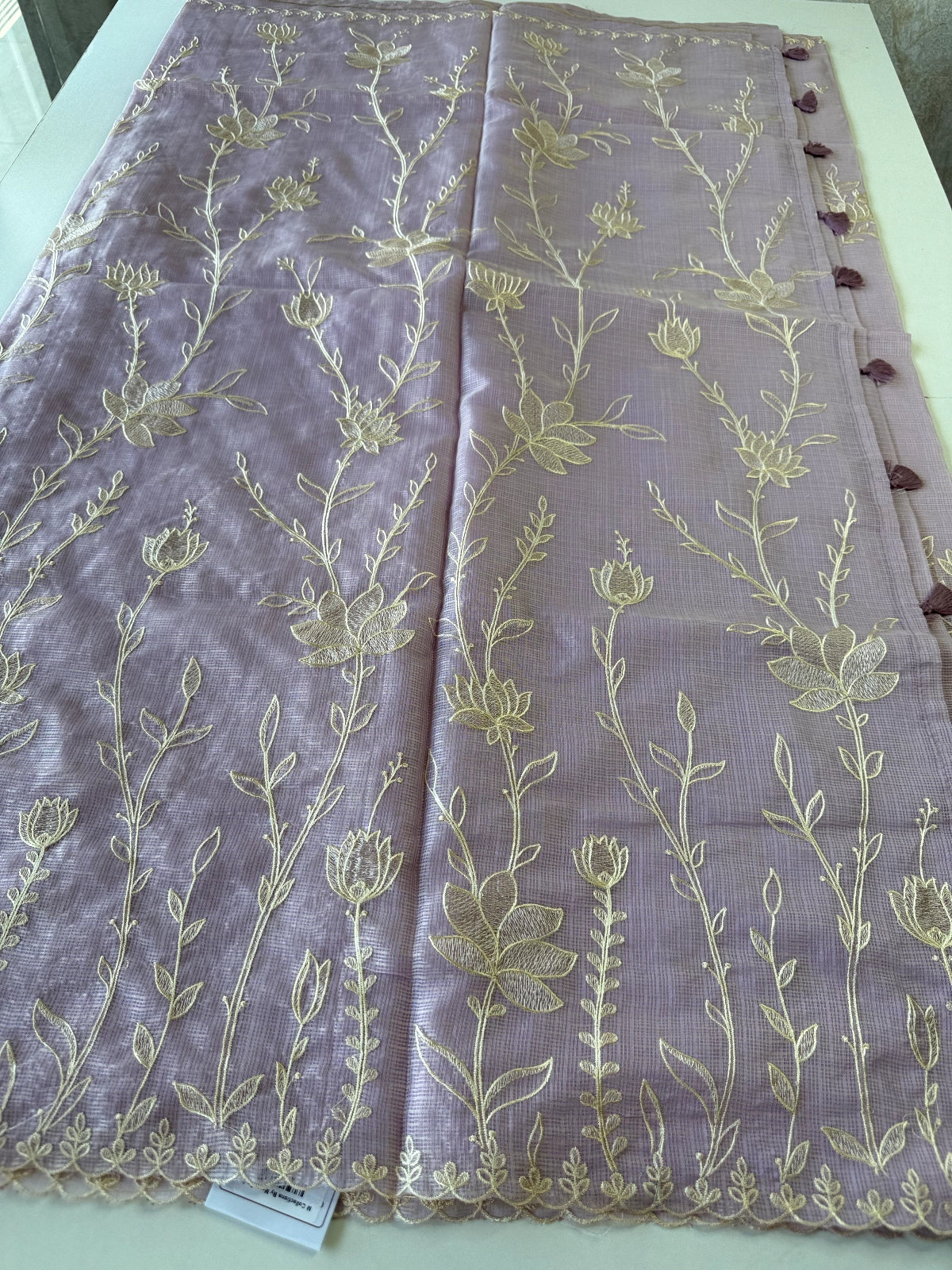 Silky kotta / DS34