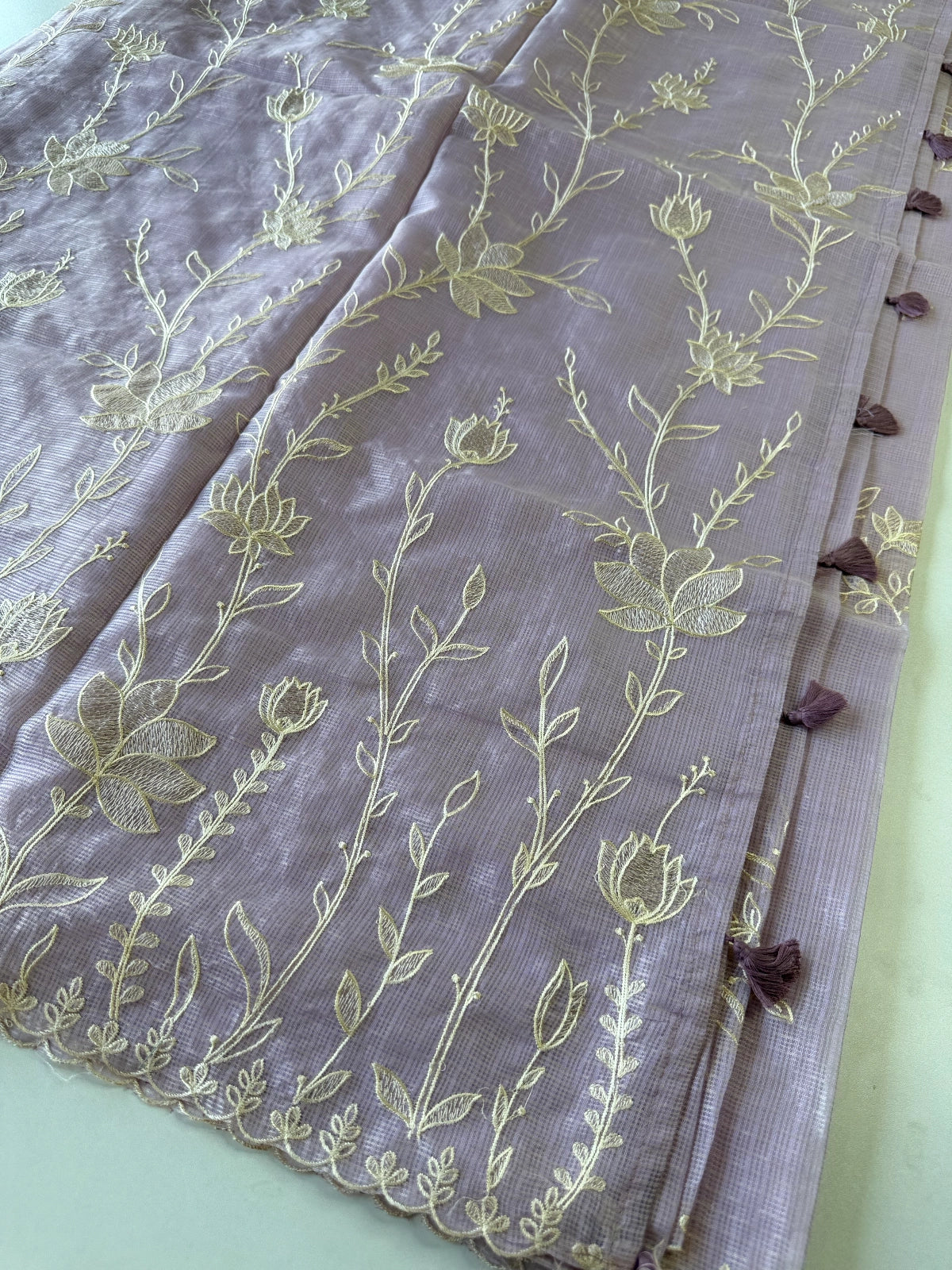 Silky kotta / DS34