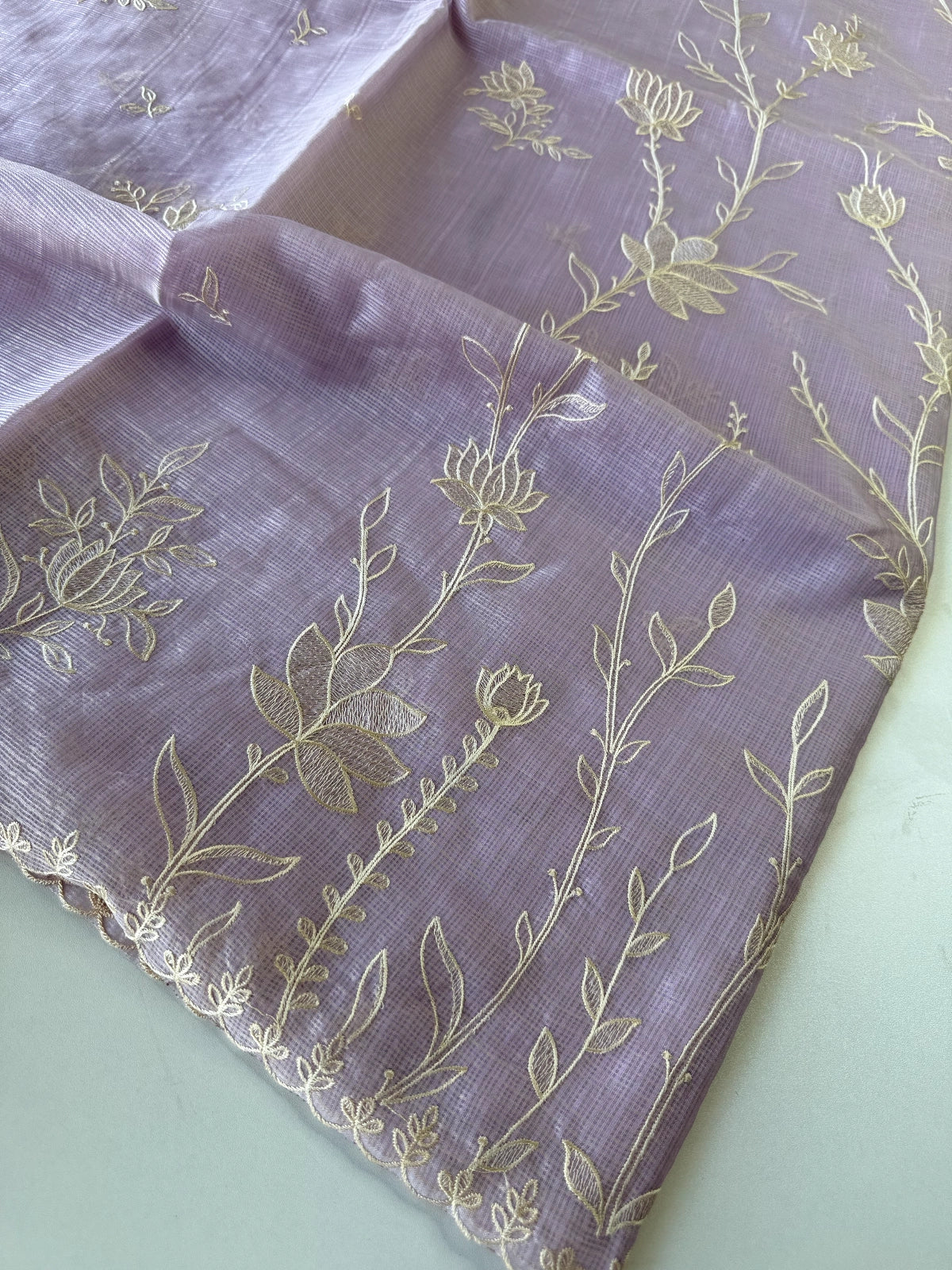 Silky kotta / DS34