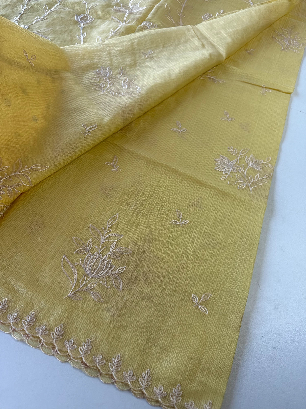 Silky kotta / DS34
