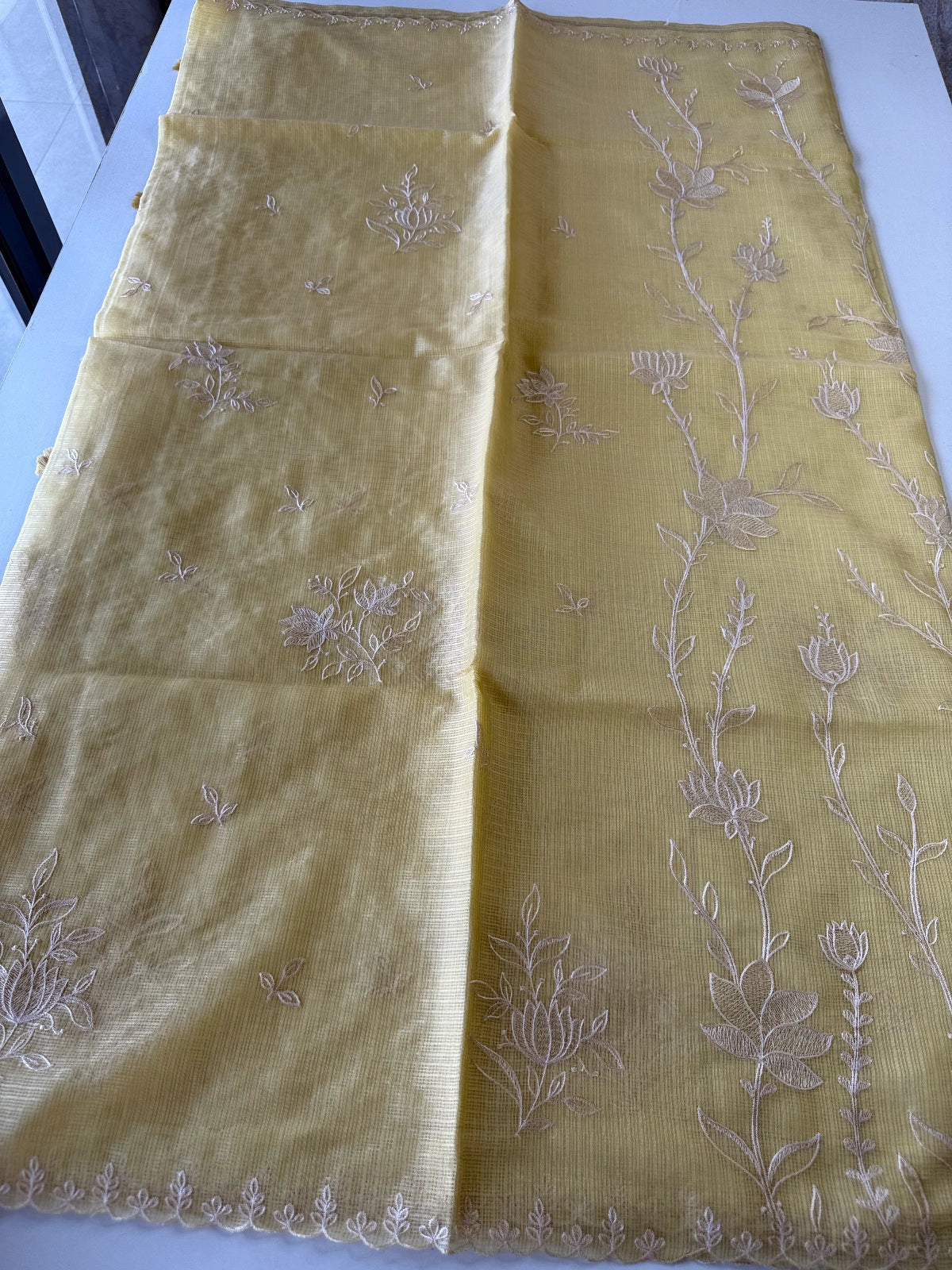 Silky kotta / DS34