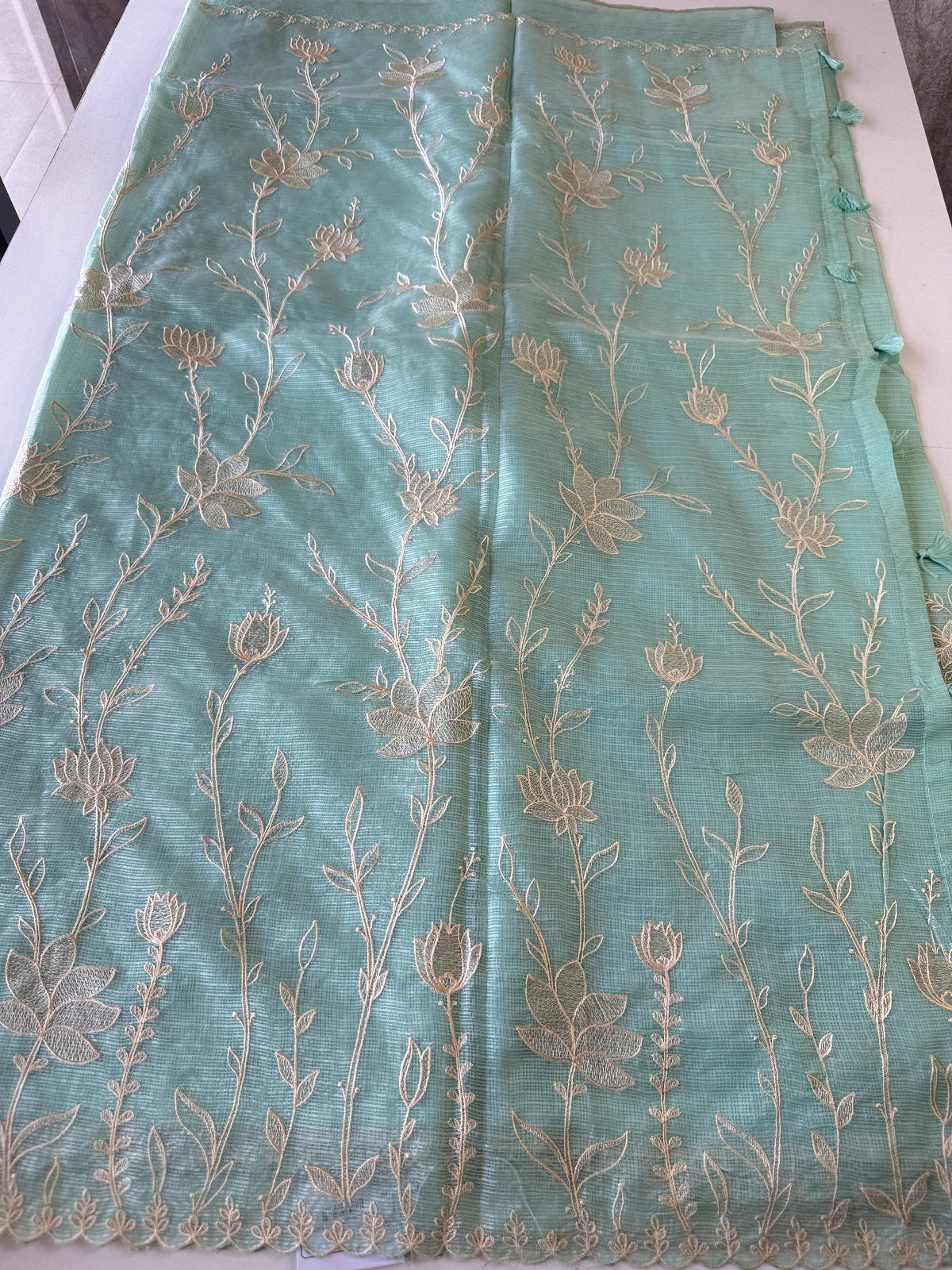 Silky kotta / DS34