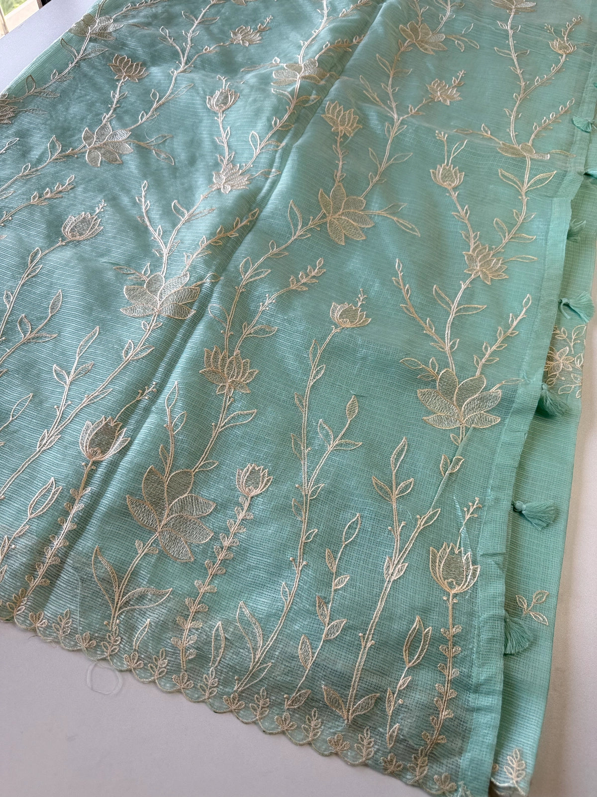 Silky kotta / DS34
