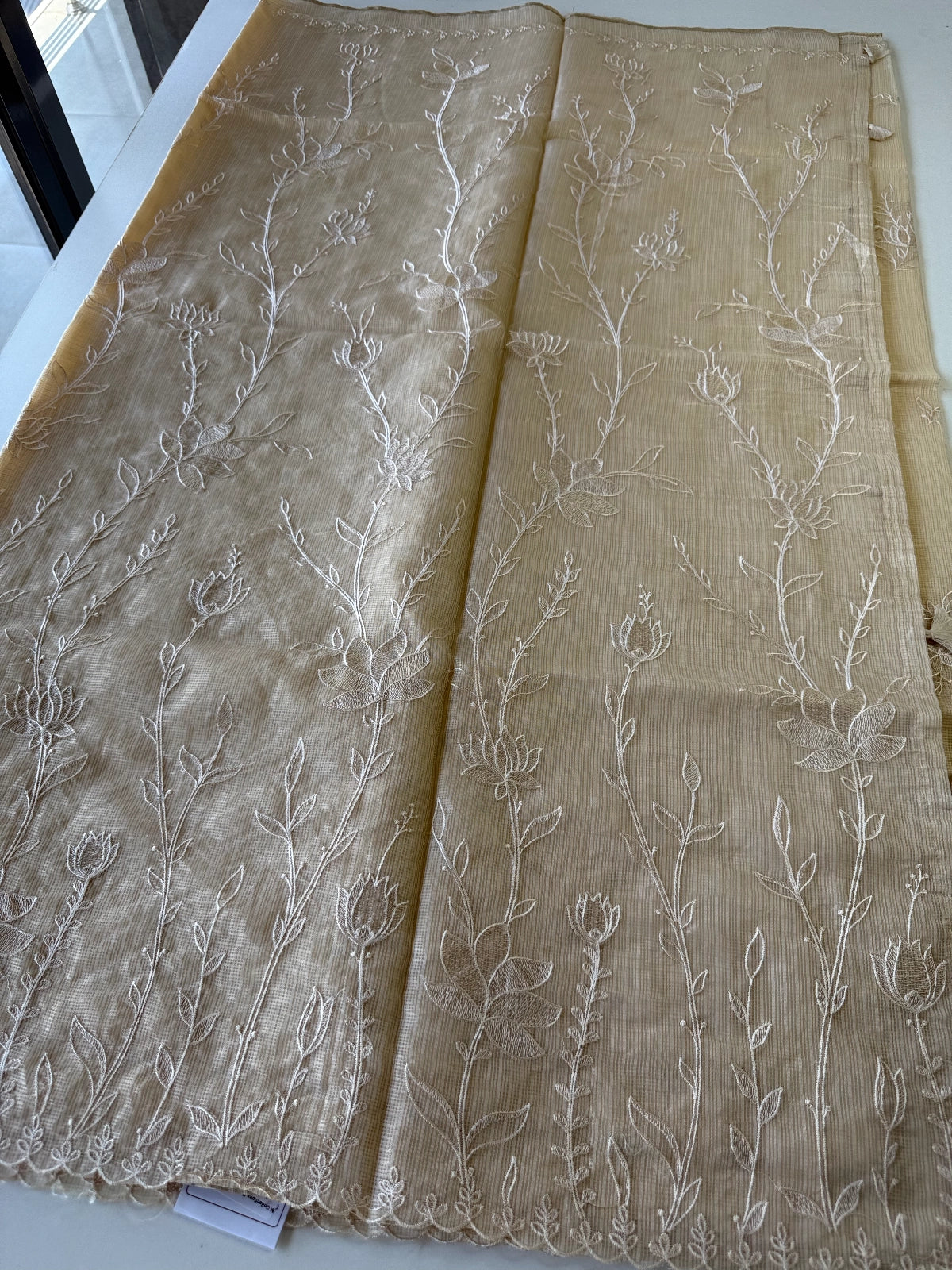 Silky kotta / DS34