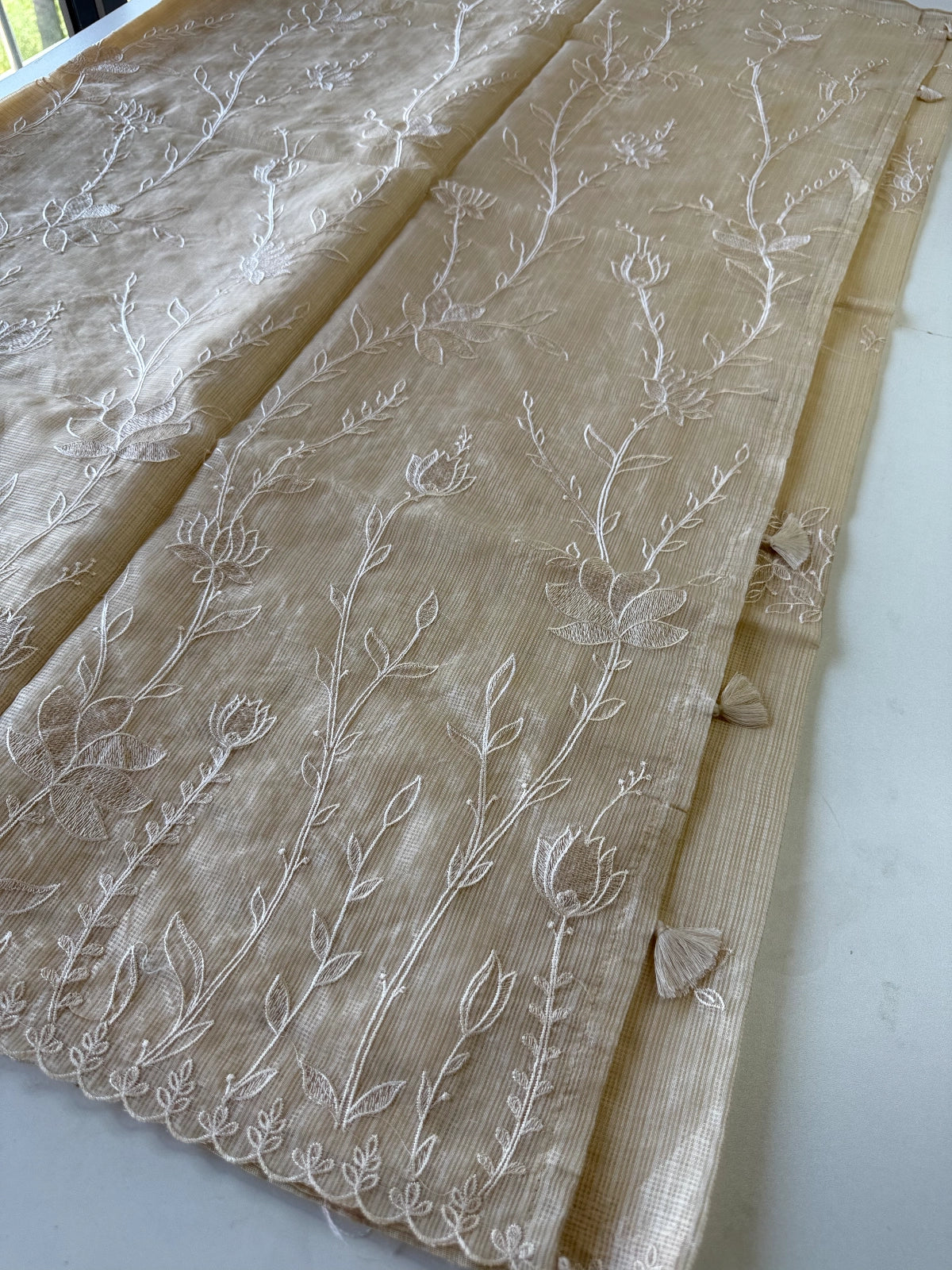 Silky kotta / DS34