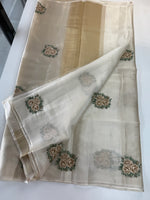 Tissue Chanderi blend saree / CW562