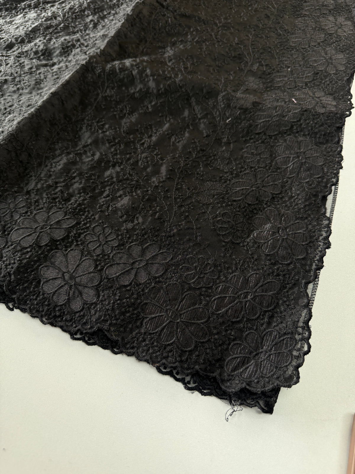 Organza Saree/ CW436