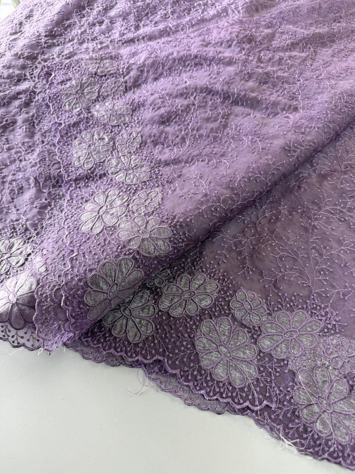Organza Saree/ CW436