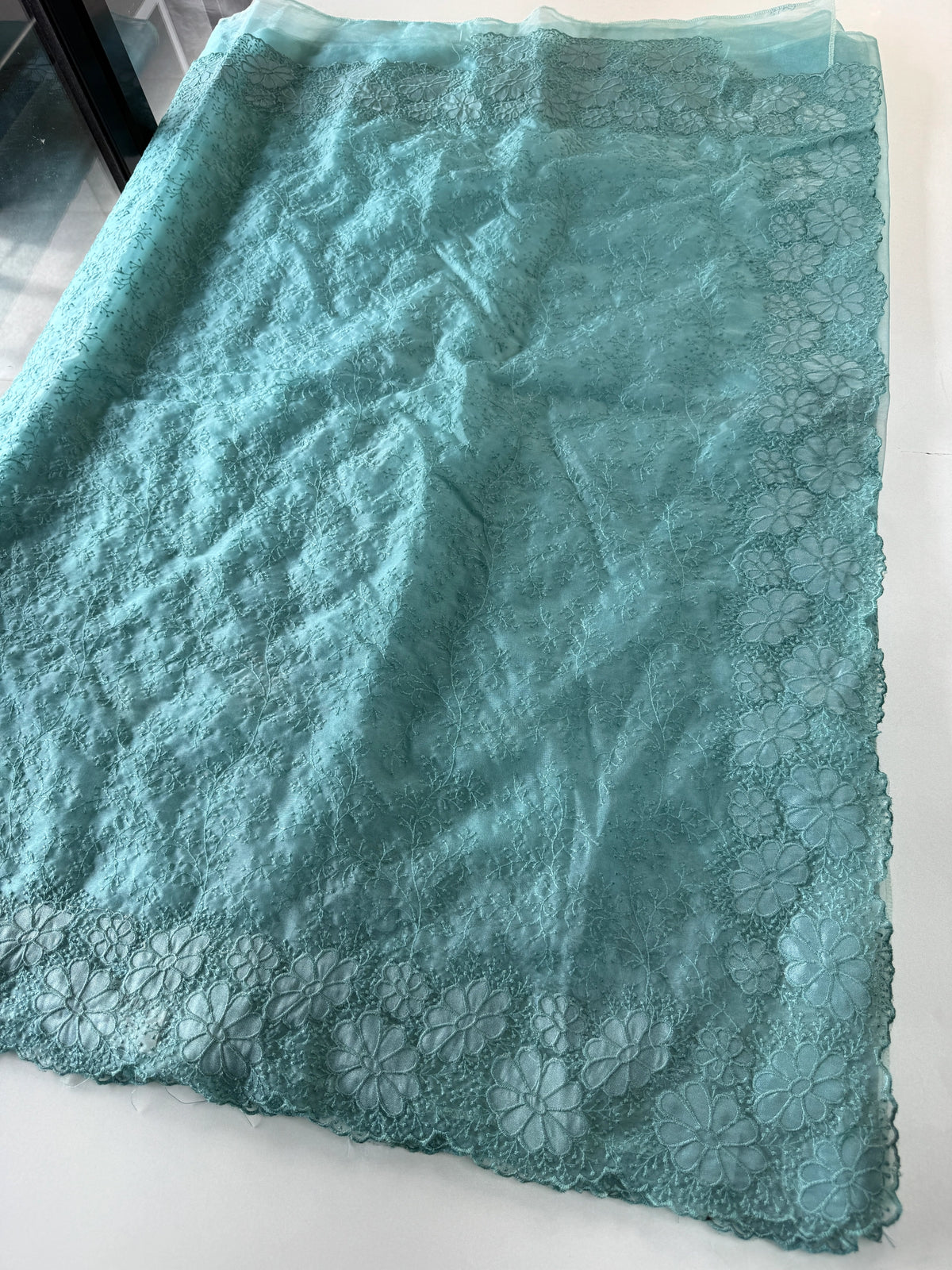 Organza Saree/ CW436