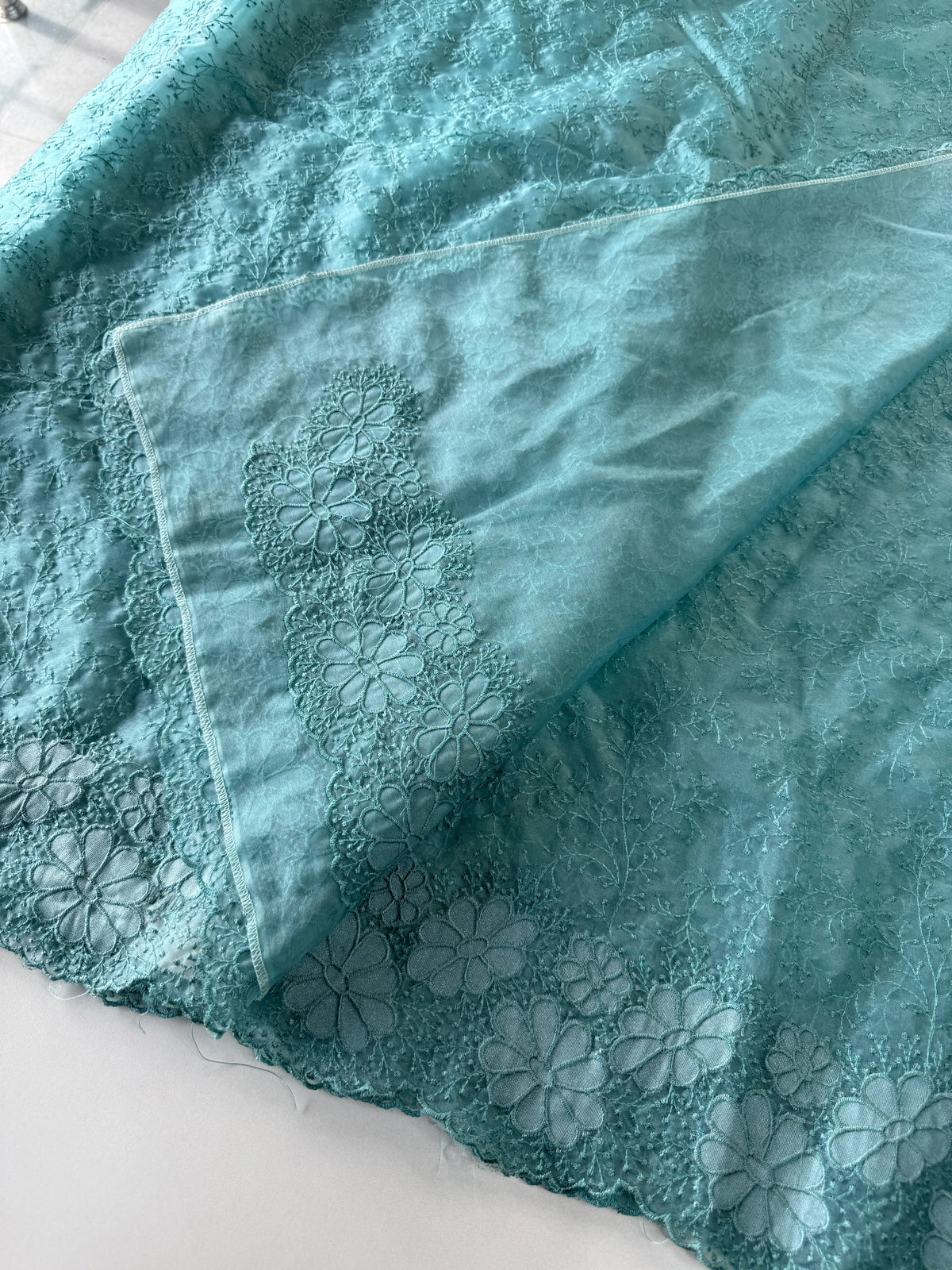 Organza Saree/ CW436