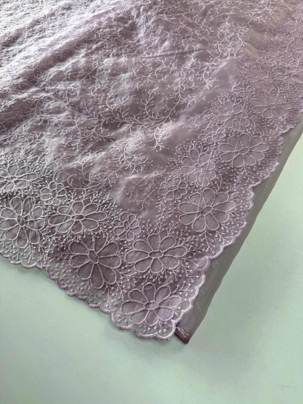Organza Saree/ CW436
