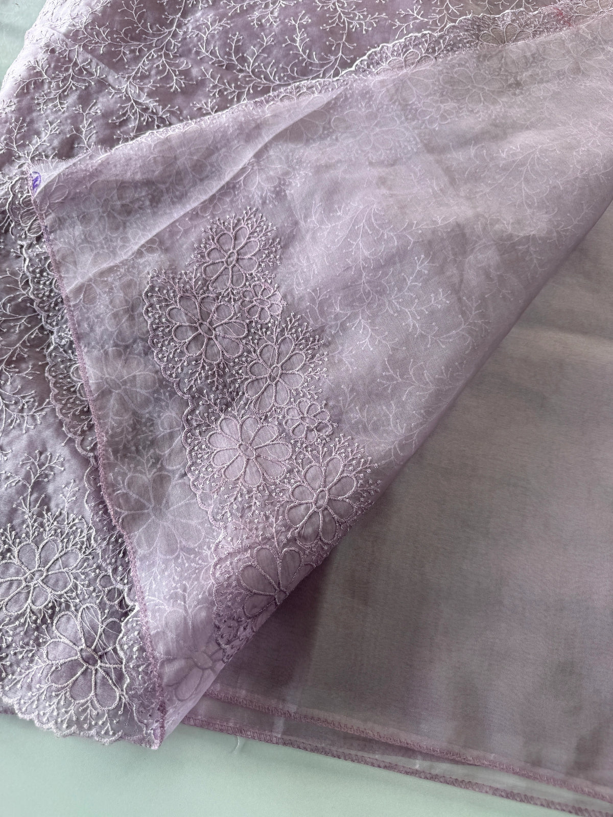 Organza Saree/ CW436