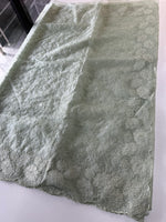 Organza Saree/ CW436