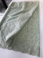 Organza Saree/ CW436