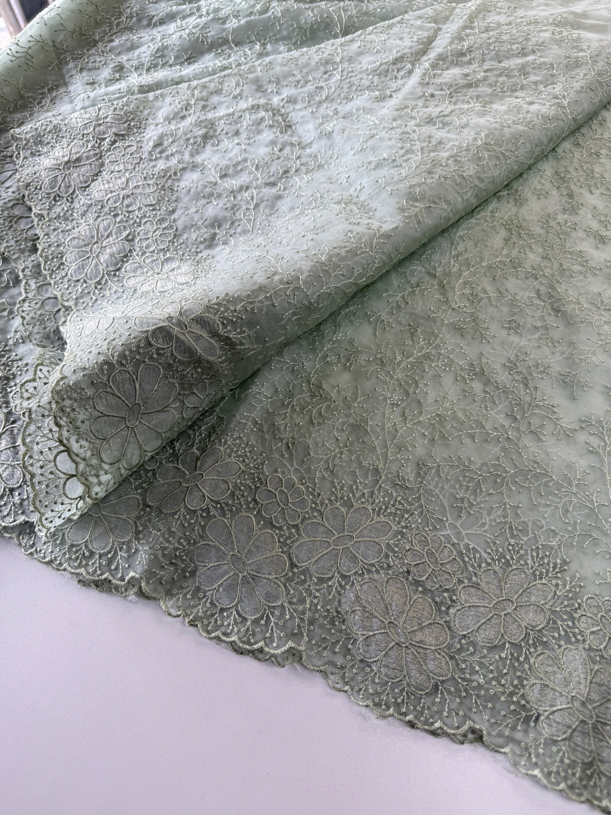 Organza Saree/ CW436