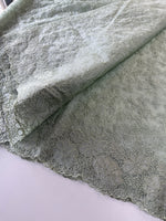 Organza Saree/ CW436