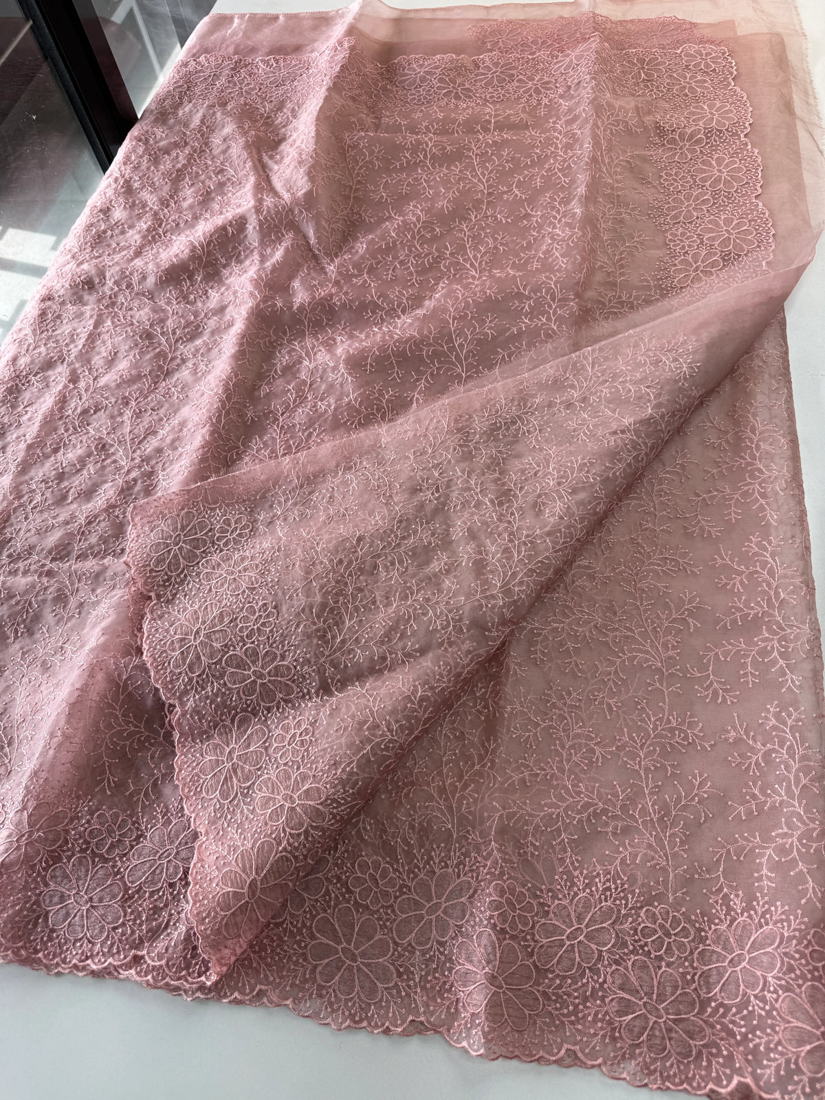 Organza Saree/ CW436