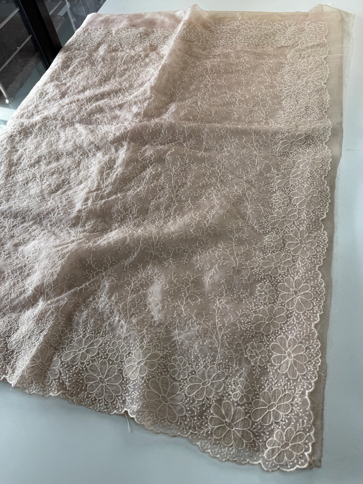 Organza Saree/ CW436