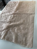 Organza Saree/ CW436