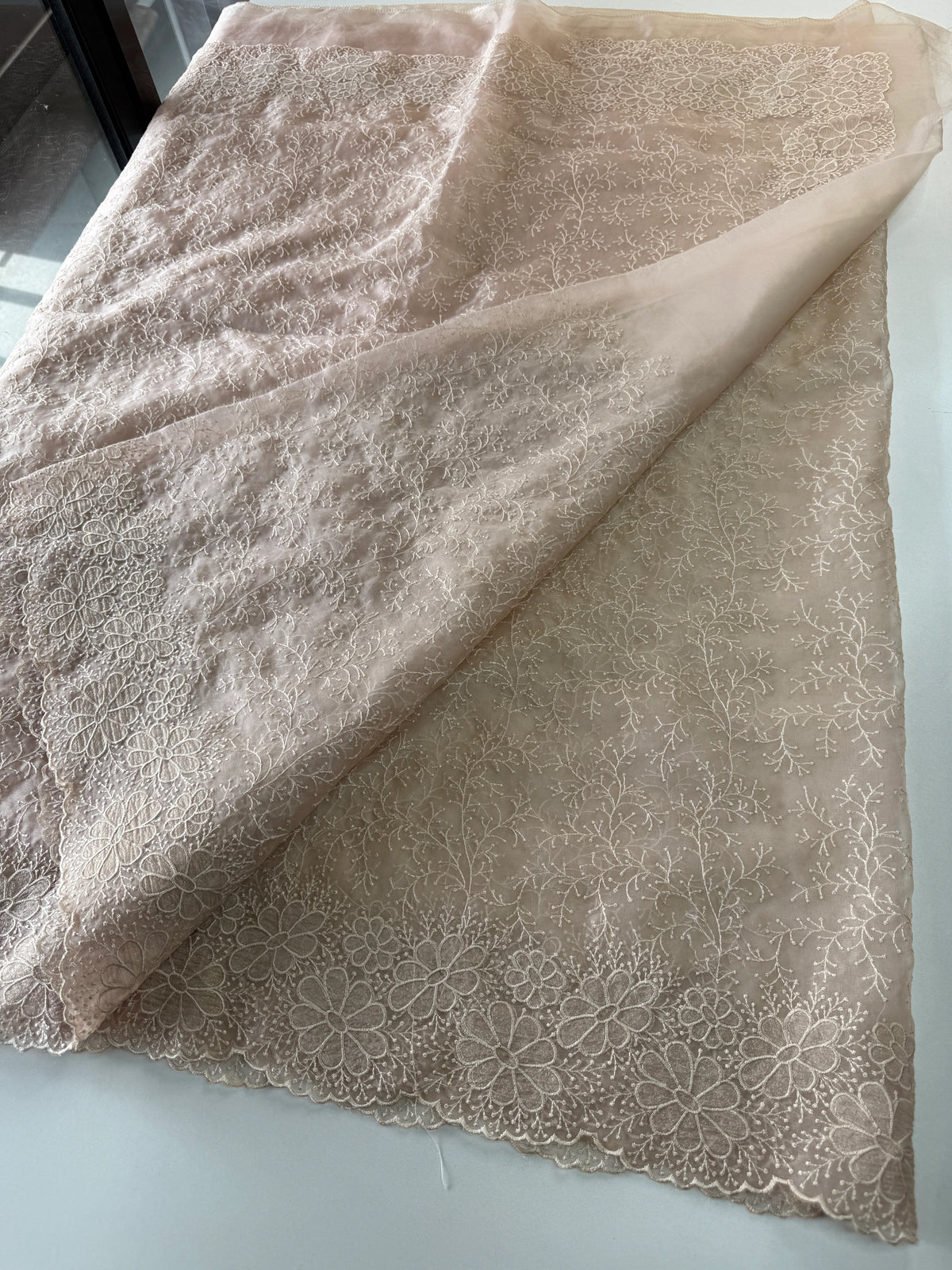 Organza Saree/ CW436