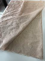 Organza Saree/ CW436