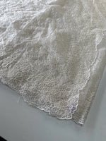 Organza Saree/ CW436